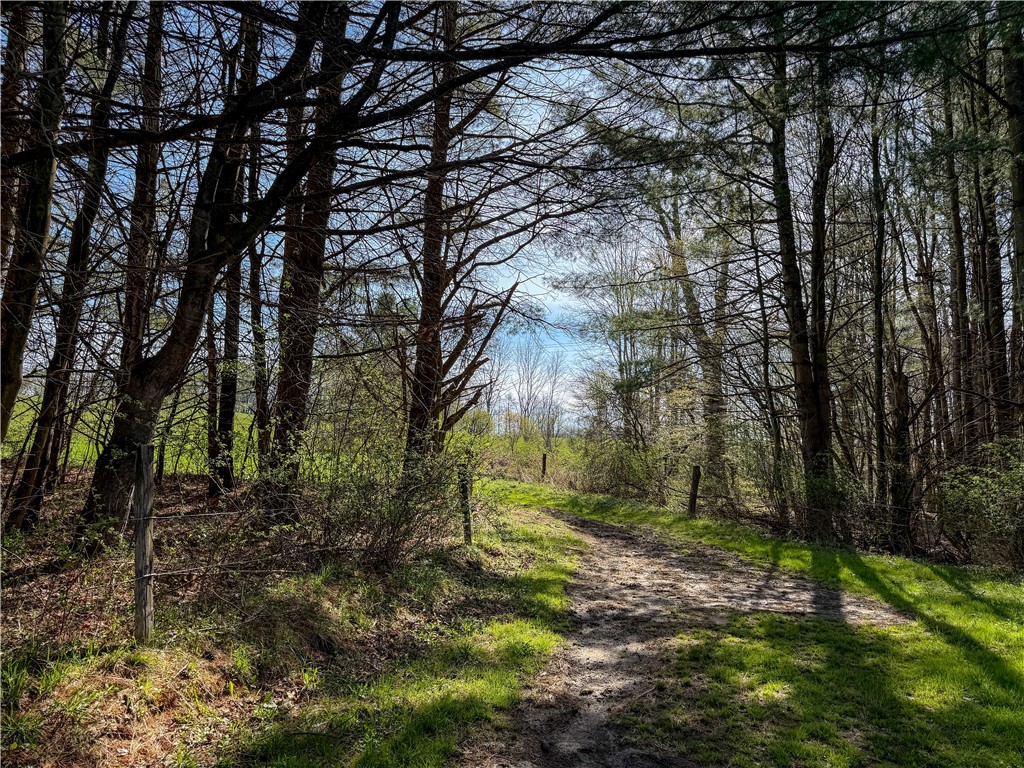 5974 East Koy Road Genesee Falls, NY 14536 - Photo 44 of 50
