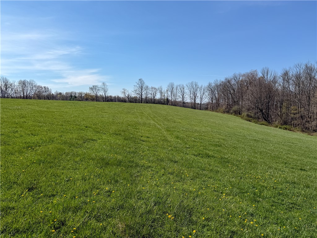 5974 East Koy Road Genesee Falls, NY 14536 - Photo 46 of 50