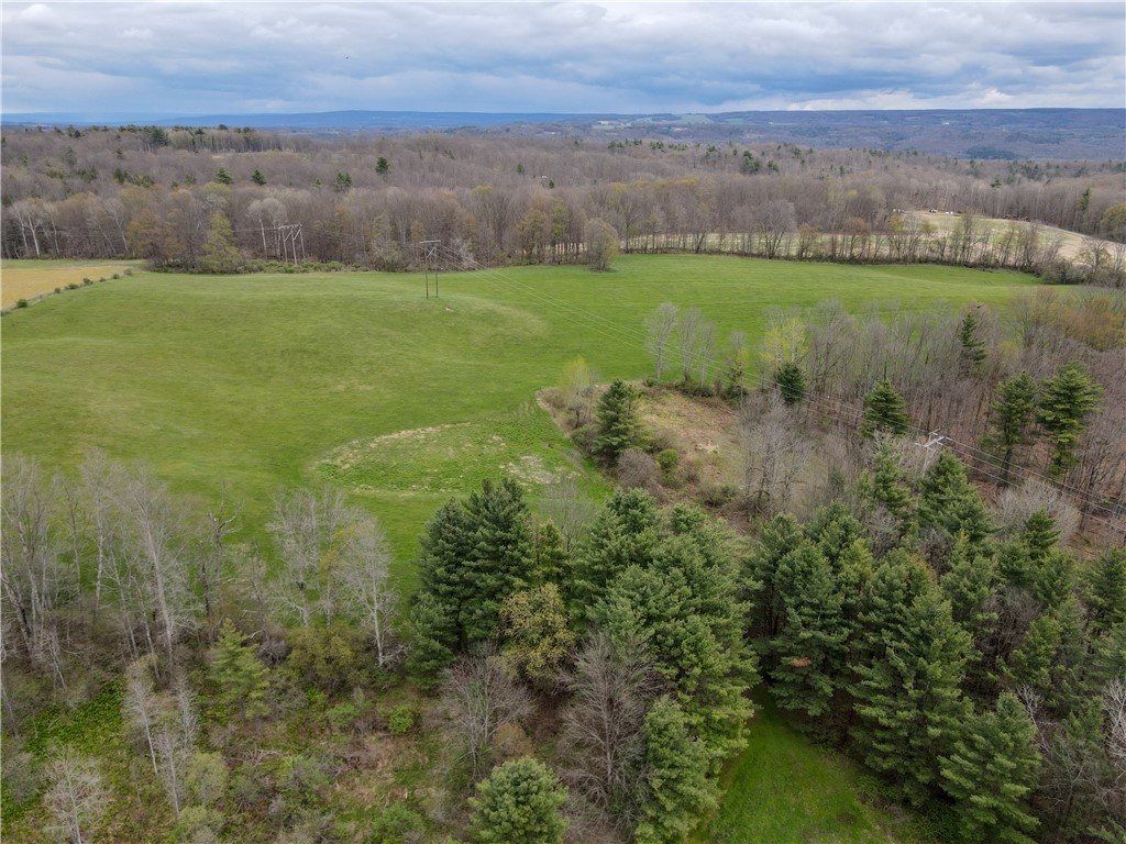 5974 East Koy Road Genesee Falls, NY 14536 - Photo 10 of 50