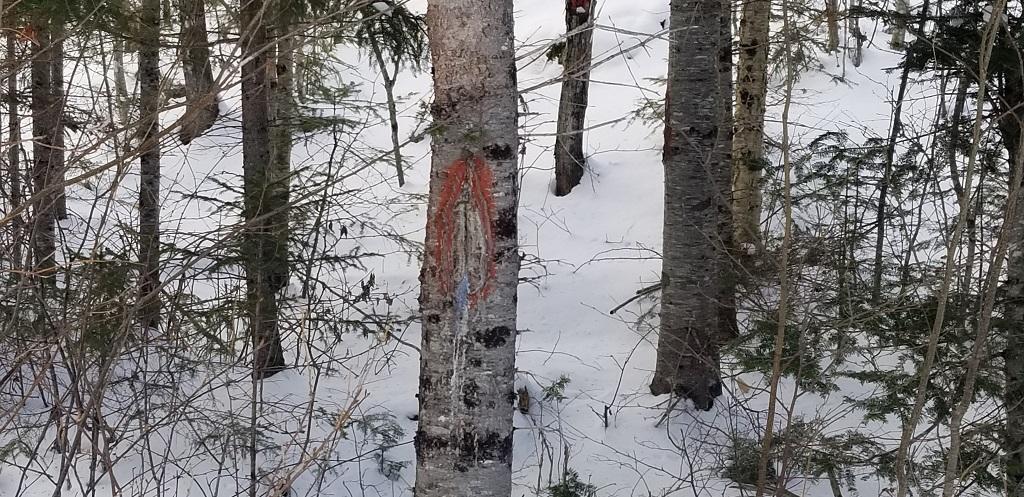 0 Easter Hill Road Roxbury, ME 04275 - Photo 10 of 56 20210107_130804