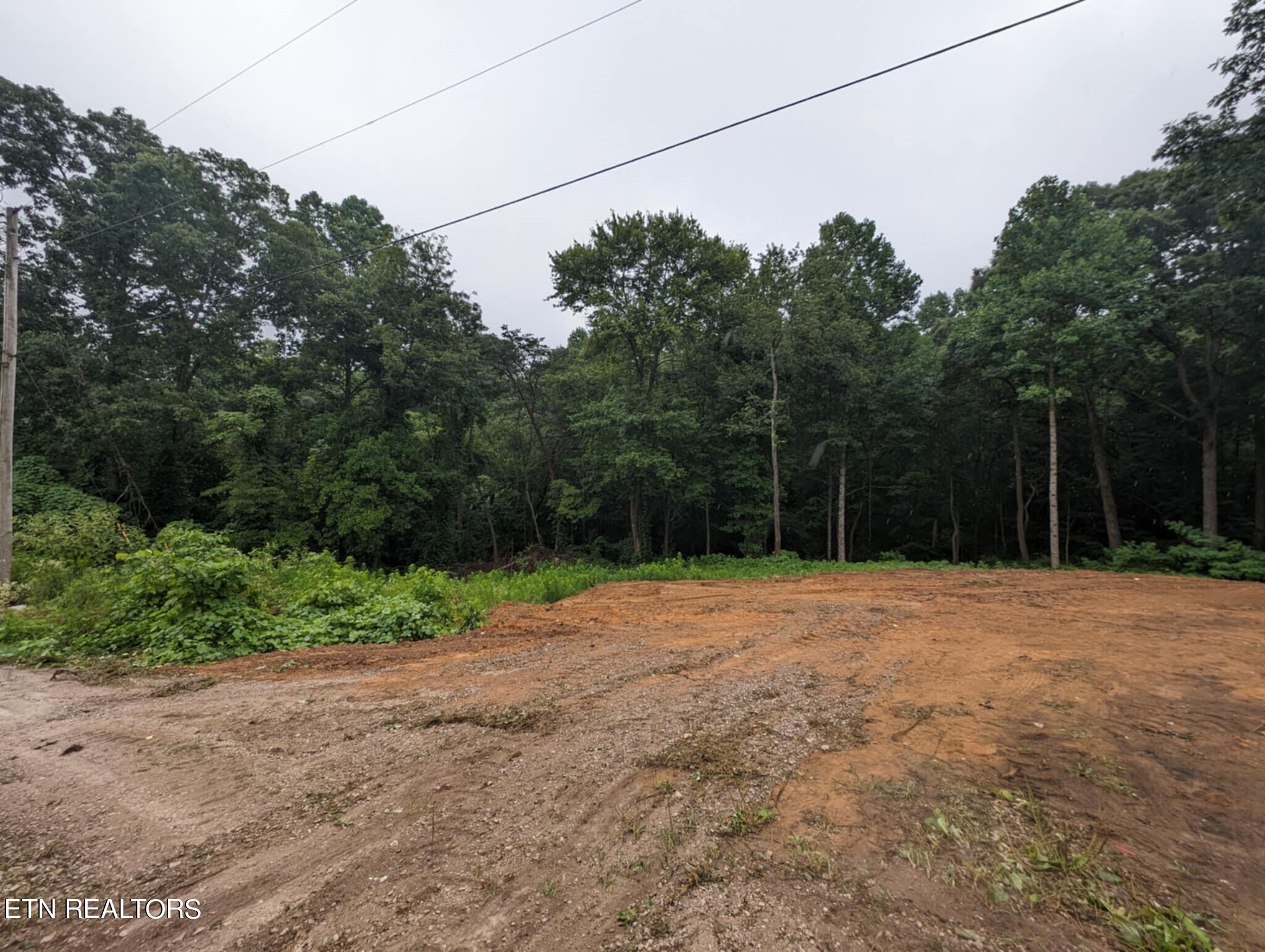 248 North Norris Street Jamestown, TN 38556 - Photo 1 of 7 cleared land
