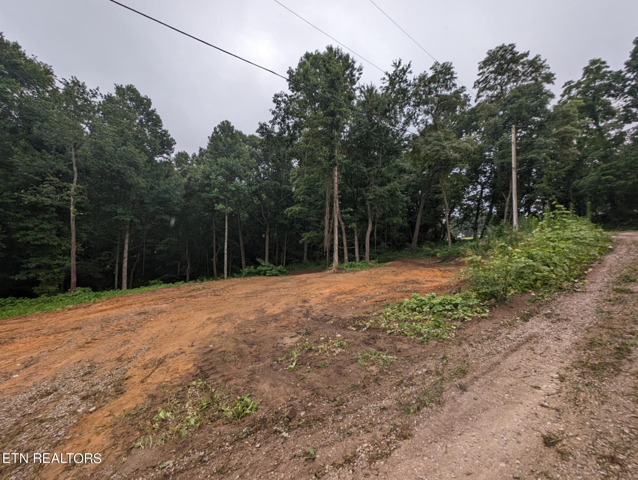 248 North Norris Street Jamestown, TN 38556 - Photo 2 of 7 driveway