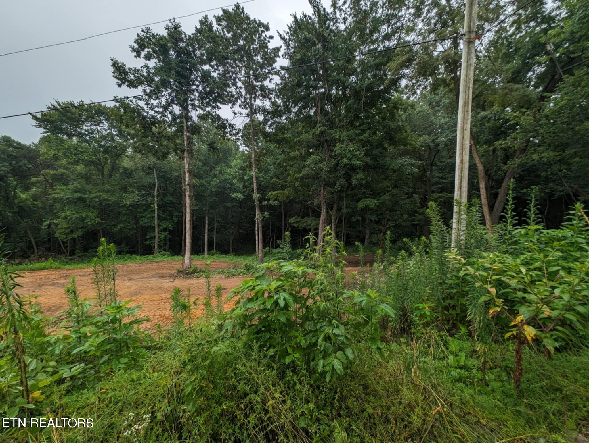 248 North Norris Street Jamestown, TN 38556 - Photo 3 of 7 f633c71c-ab55-463a-9e91-d919bba34395