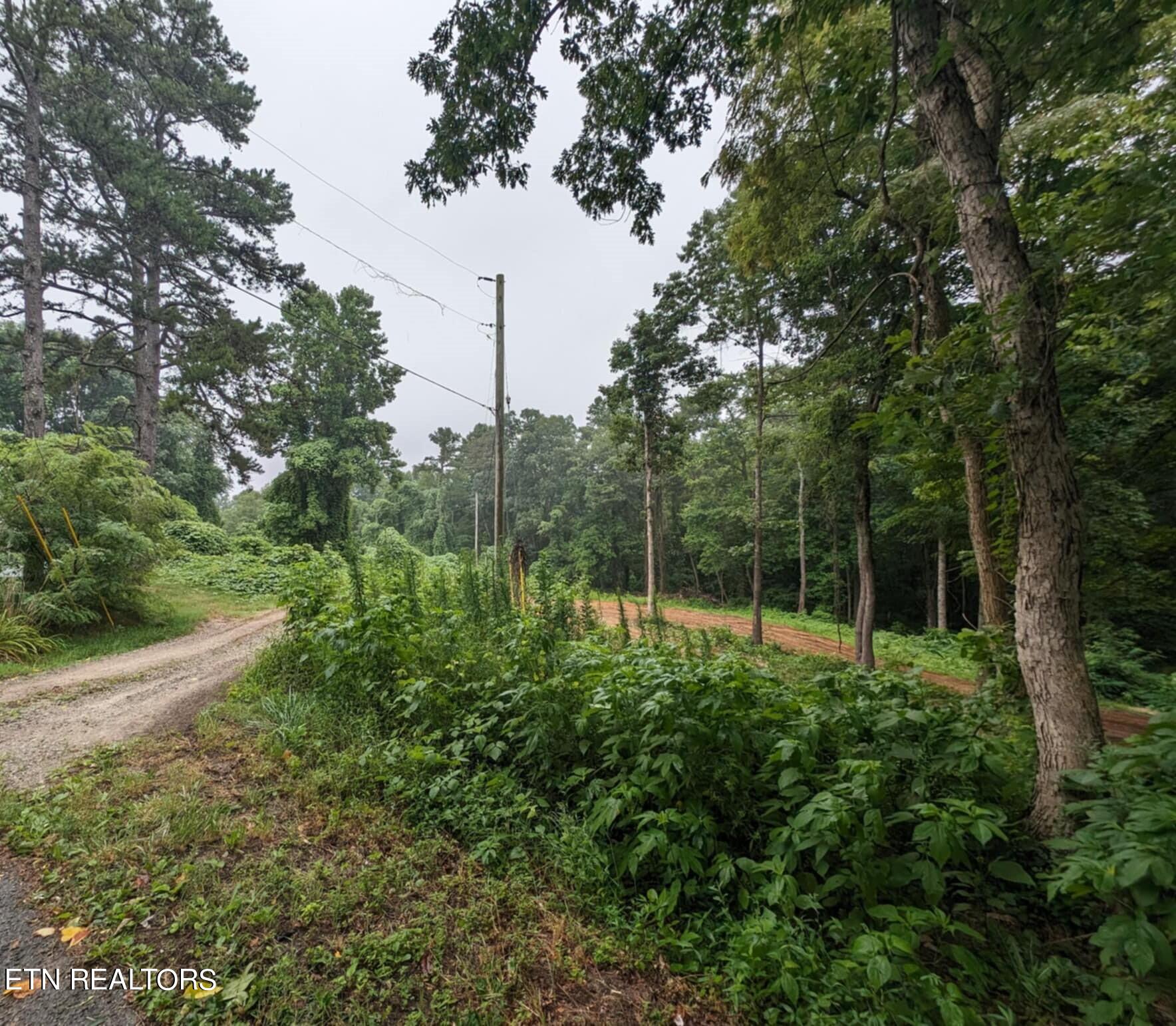 248 North Norris Street Jamestown, TN 38556 - Photo 5 of 7 e8449e2d-f362-4f1b-817e-59b84575fe8d