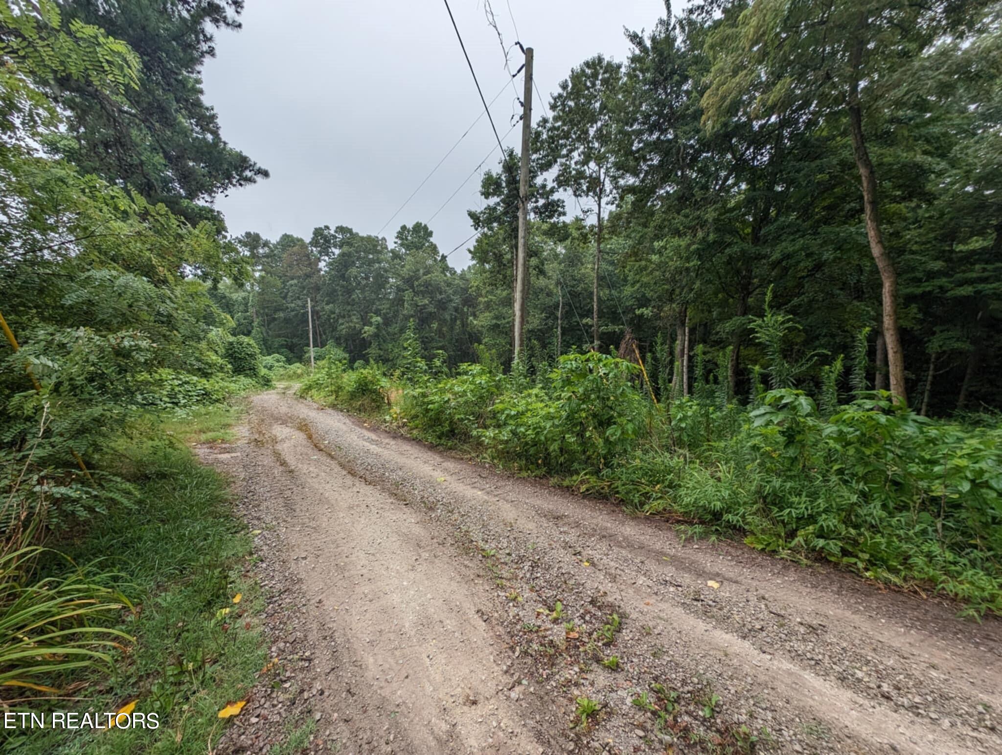 248 North Norris Street Jamestown, TN 38556 - Photo 6 of 7 2c5f656e-57e7-4381-bca1-9d7bde420a28