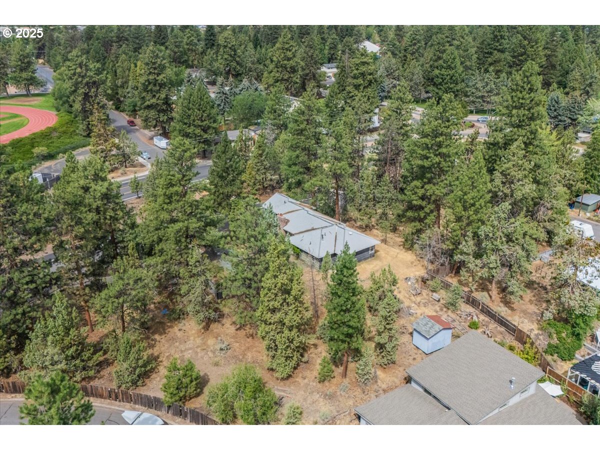 438 Northeast 9th Street Bend, OR 97701 - Photo 17 of 29 a view of a forest with a yard