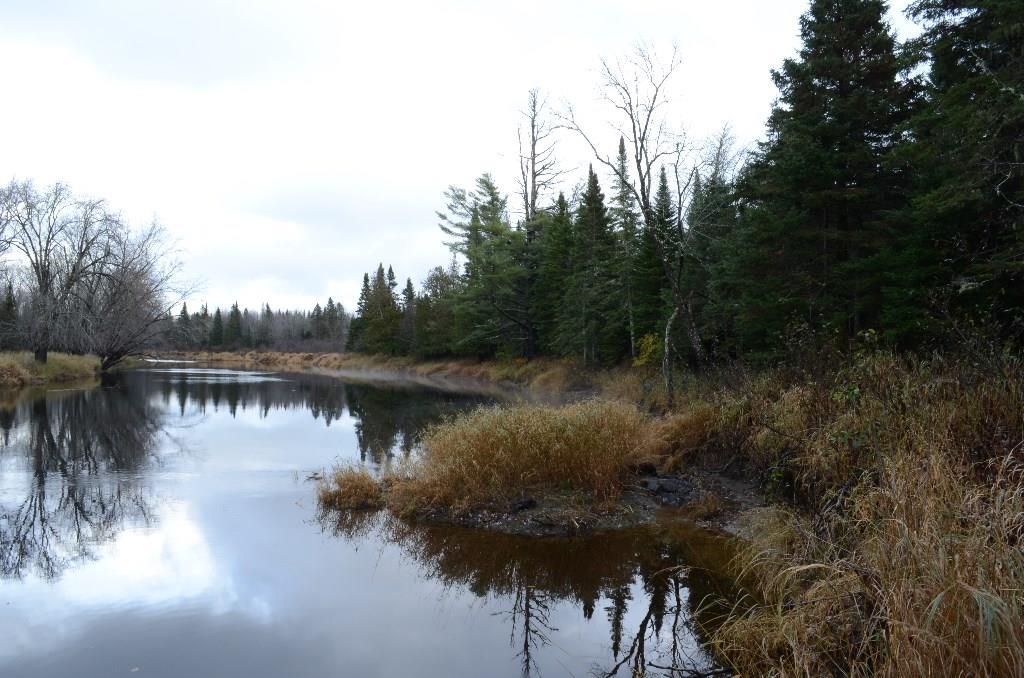 On Skagrock Road Wytopitlock, ME 04497 - Photo 9 of 22 Maine Land for Sale in Haynesville,...