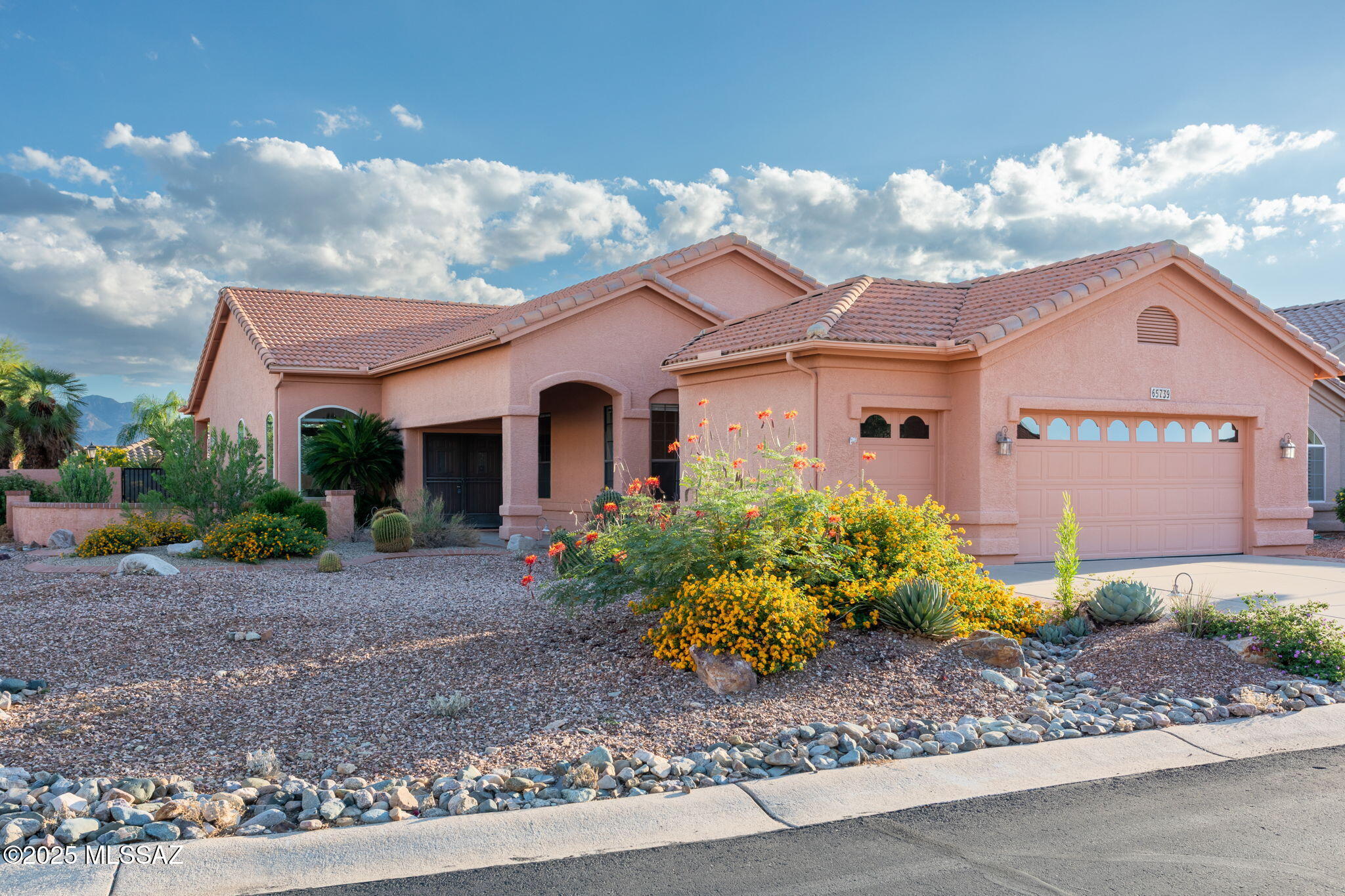 65739 East Desert Rise Drive Tucson, AZ 85739 - Photo 1 of 20