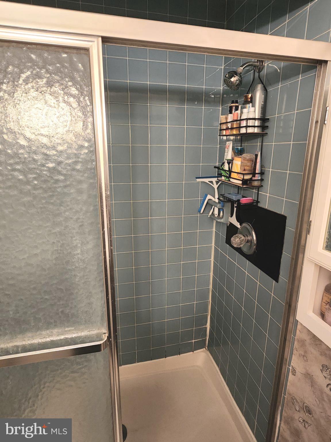 615 Salt Spray Road, Unit 3A Ocean City, MD 21842 - Photo 17 of 23 a bathroom with a shower