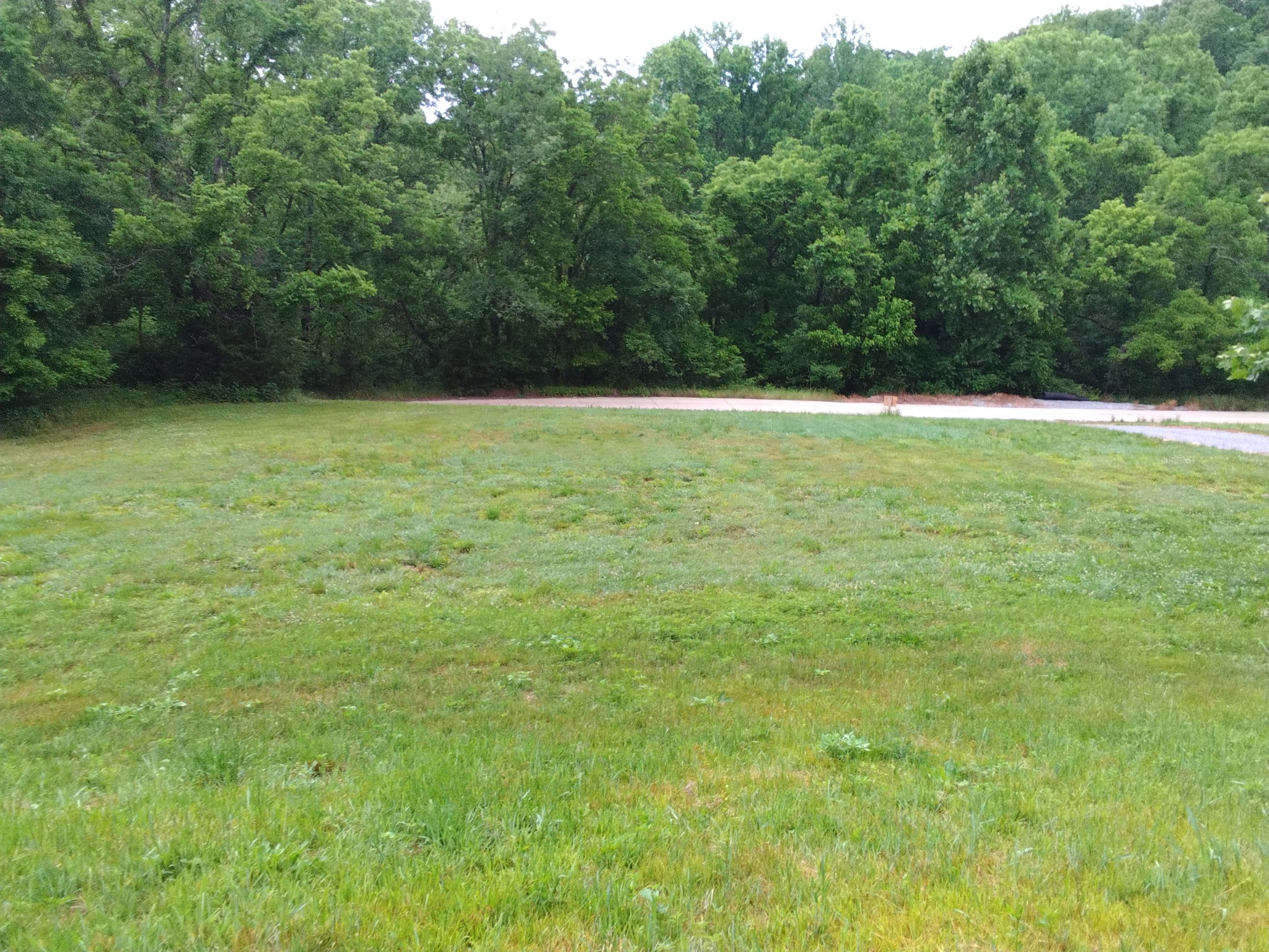2006 McMahan Hollow Road Pleasant View, TN 37146 - Photo 20 of 20 a view of outdoor space and yard