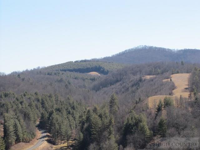 440 River Bend Hills Road Crumpler, NC 28617 - Photo 19 of 22 Gallery Image 19