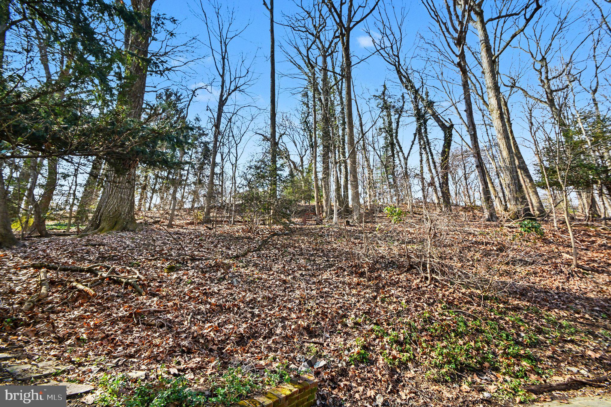 542 Upper Weadley Road Wayne, PA 19087 - Photo 45 of 49