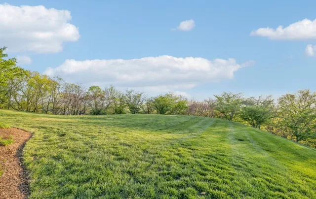 $15,000,000 | 513 King Richards Court, Franklin, TN 37067