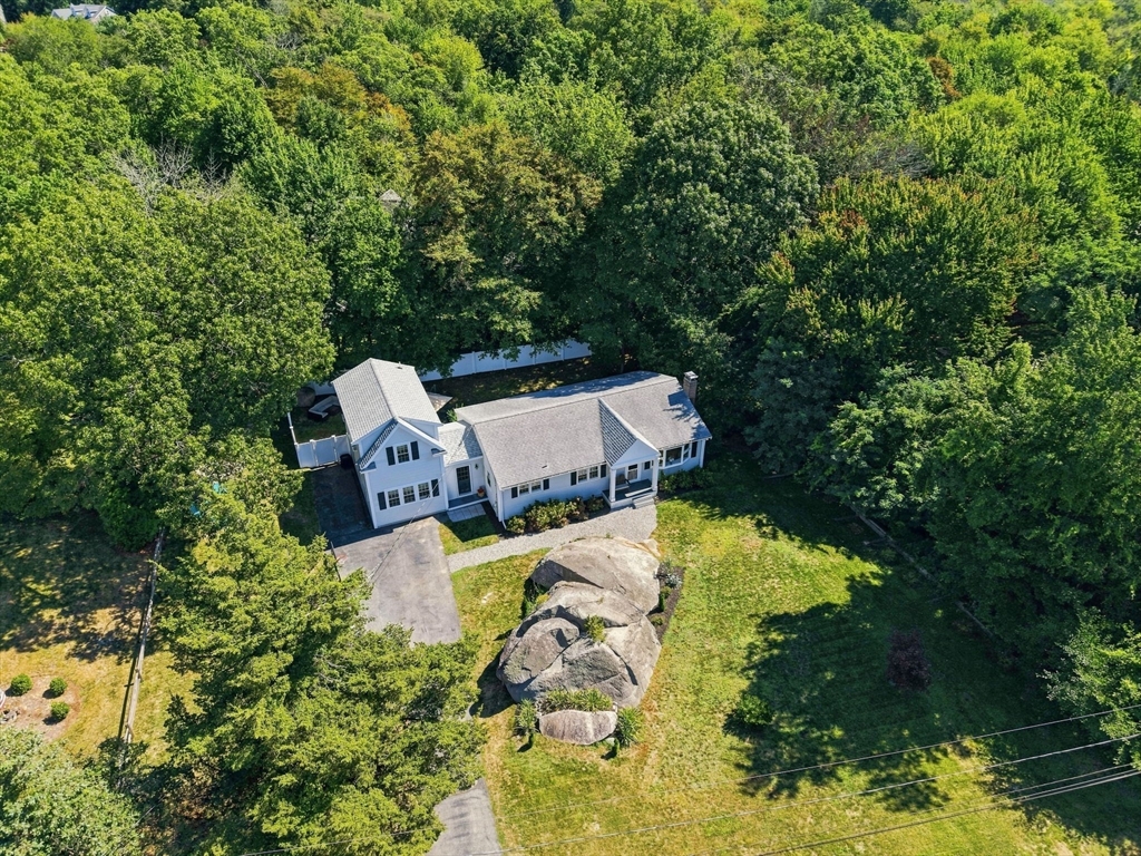 19 Locust Road Cohasset, MA 02025 - Photo 34 of 39 Gallery Image 34
