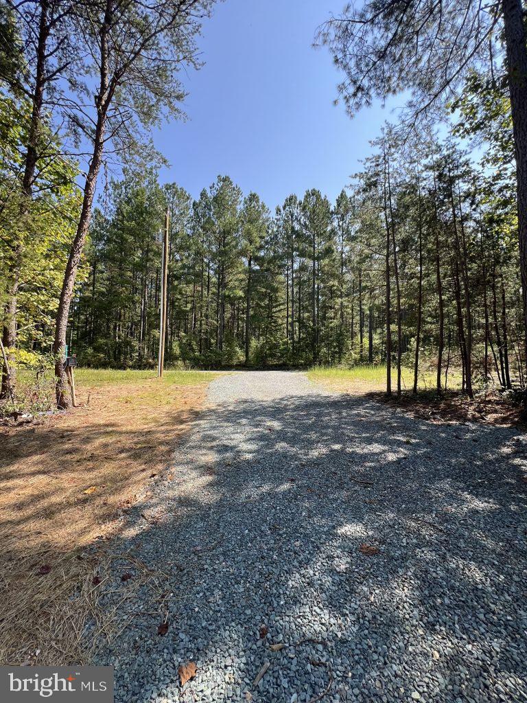 325 Shellhorn Road Gordonsville, VA 22942 - Photo 3 of 17