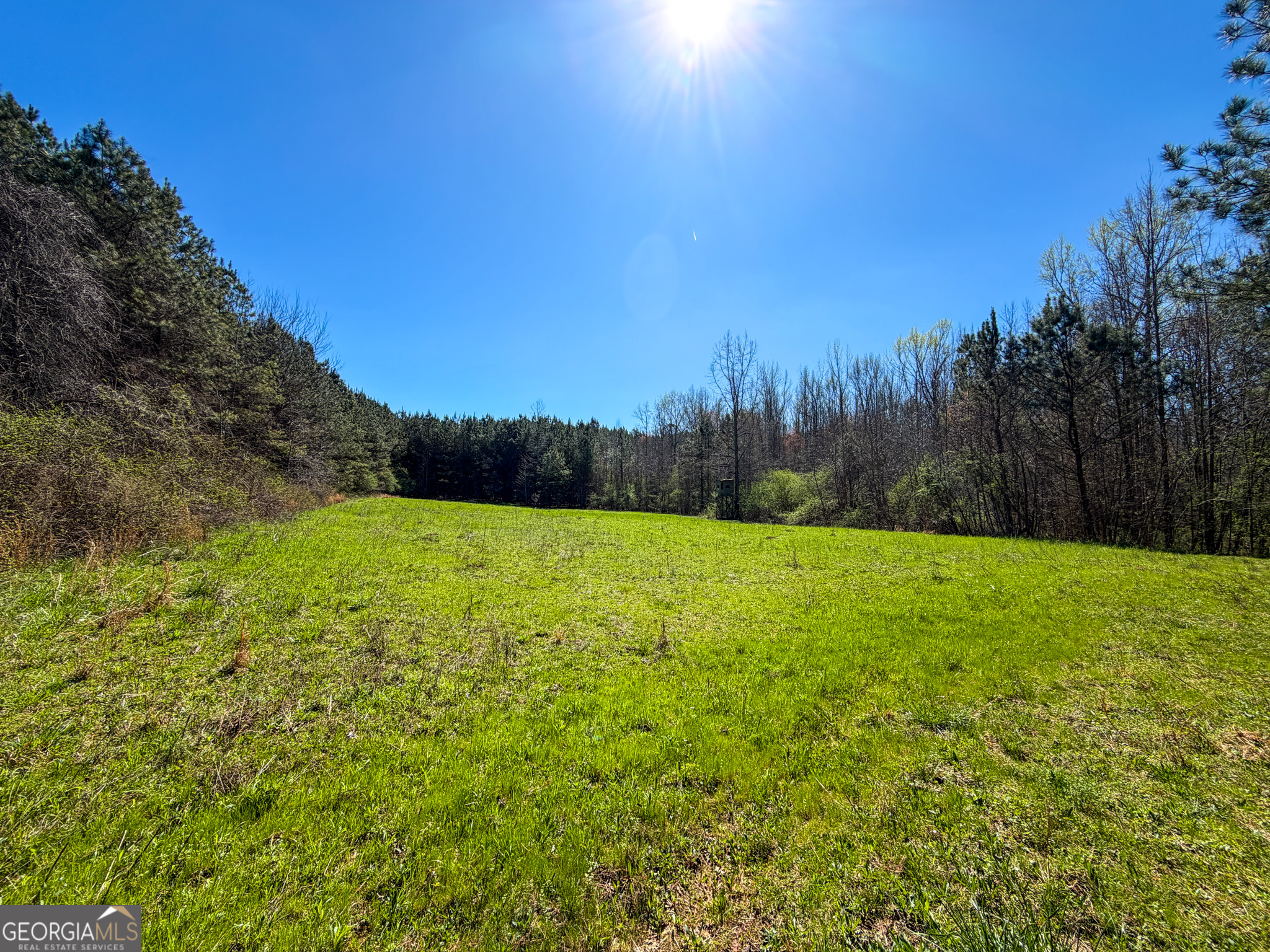 257 Acres On Ridgeway Road Franklin, GA 30217 - Photo 7 of 28