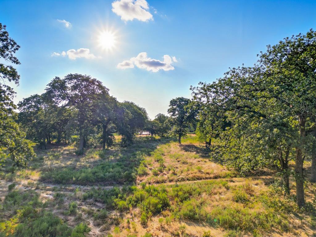 1908 Serendipity Circle Roanoke, TX 76262 - Photo 9 of 11 a view of a yard