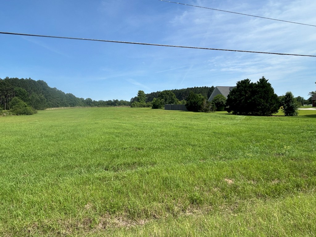 2807 Eddins Road Dothan, AL 36301 - Photo 3 of 7