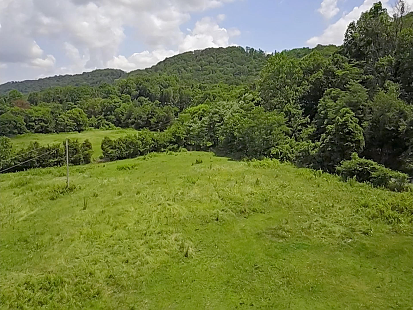Cecil Lockhart Road New Market, TN 37820 - Photo 5 of 19 5