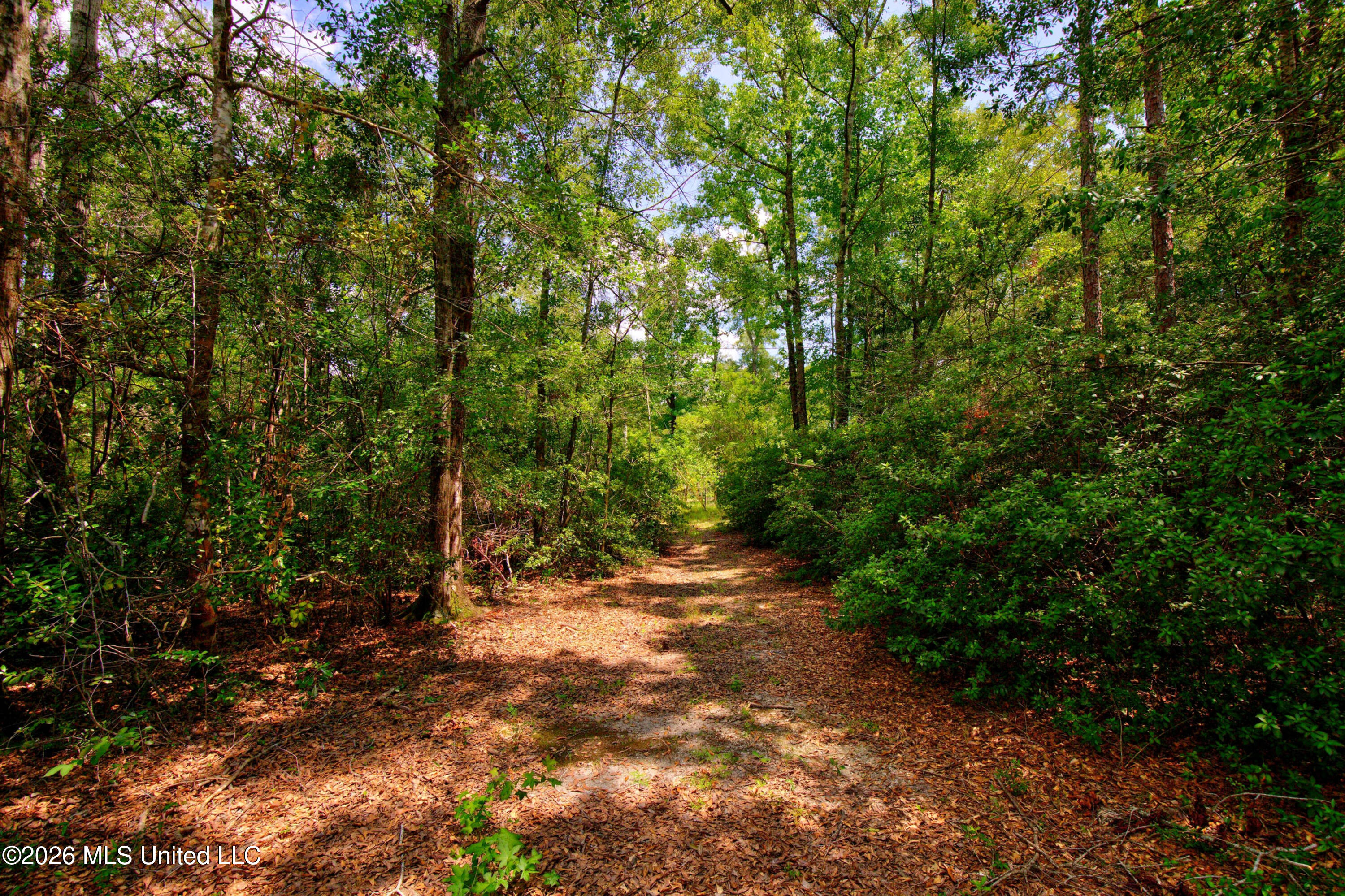 20237 Fox Ridge Drive Saucier, MS 39574 - Photo 21 of 32 20237FoxRidgeDr.-28
