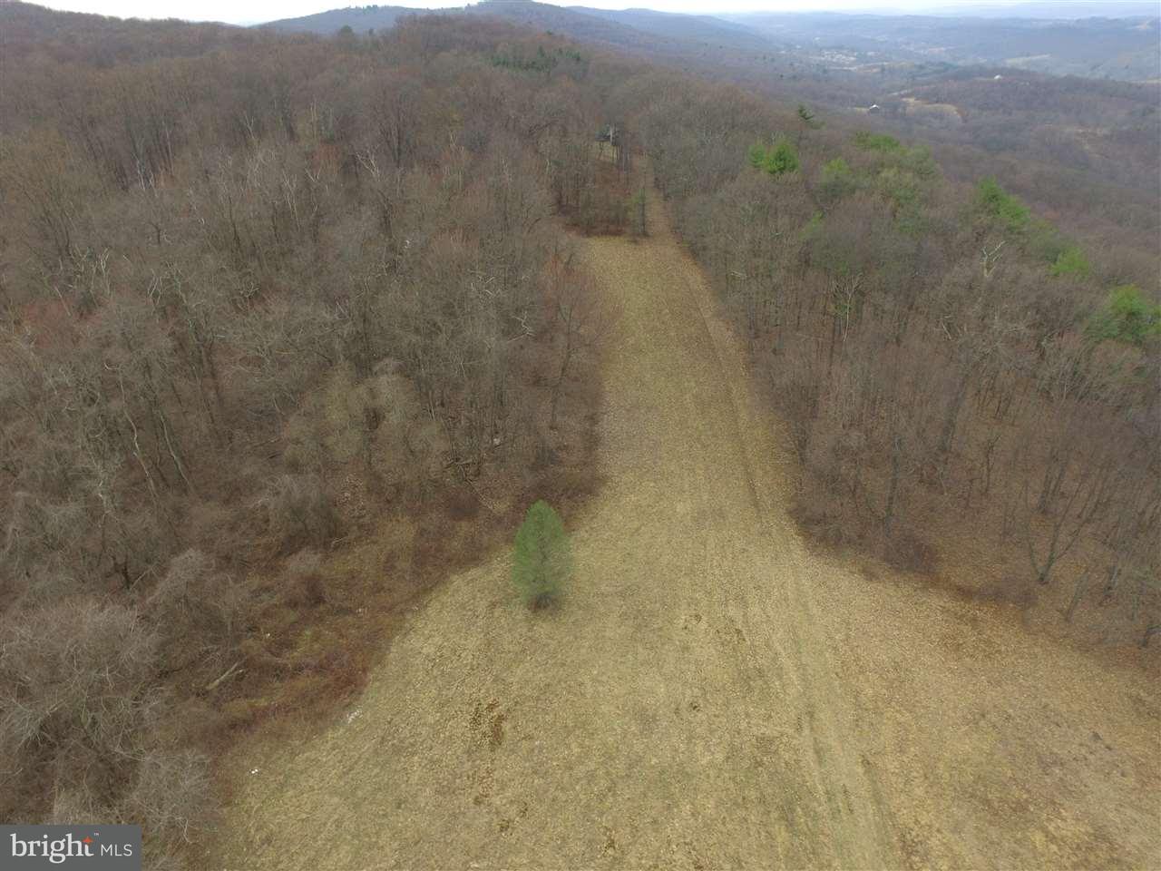 300 Turkey Path Road Newport, PA 17074 - Photo 11 of 18