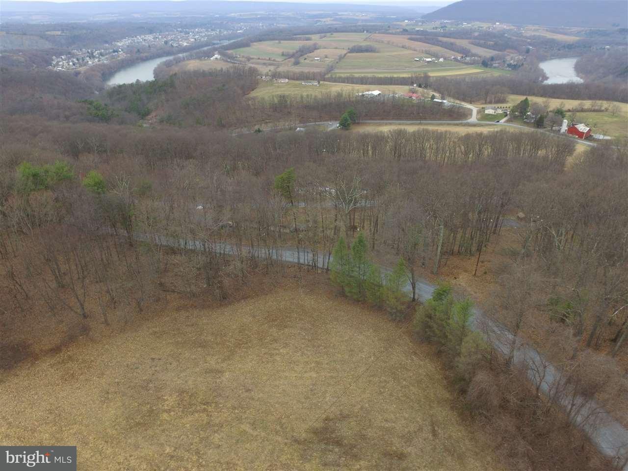 300 Turkey Path Road Newport, PA 17074 - Photo 10 of 18