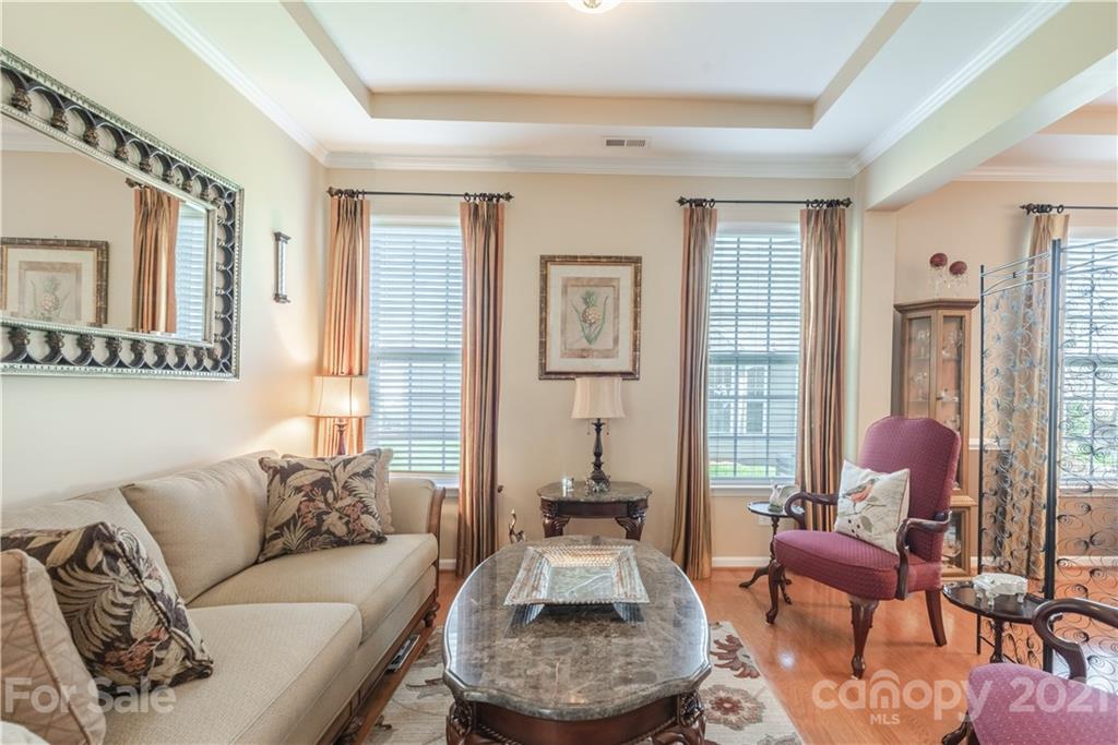 279 Garnet Court, Unit 549 Fort Mill, SC 29708 - Photo 9 of 47 a living room with furniture and a potted plant