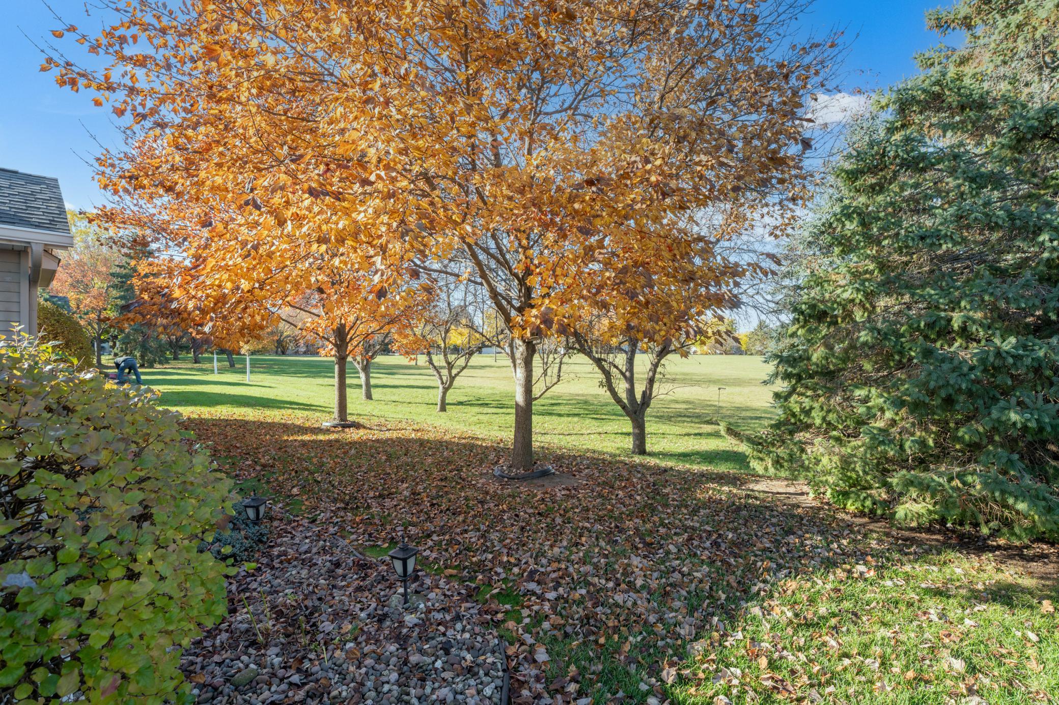 2437 Viola Heights Drive Northeast Rochester, MN 55906 - Photo 44 of 54
