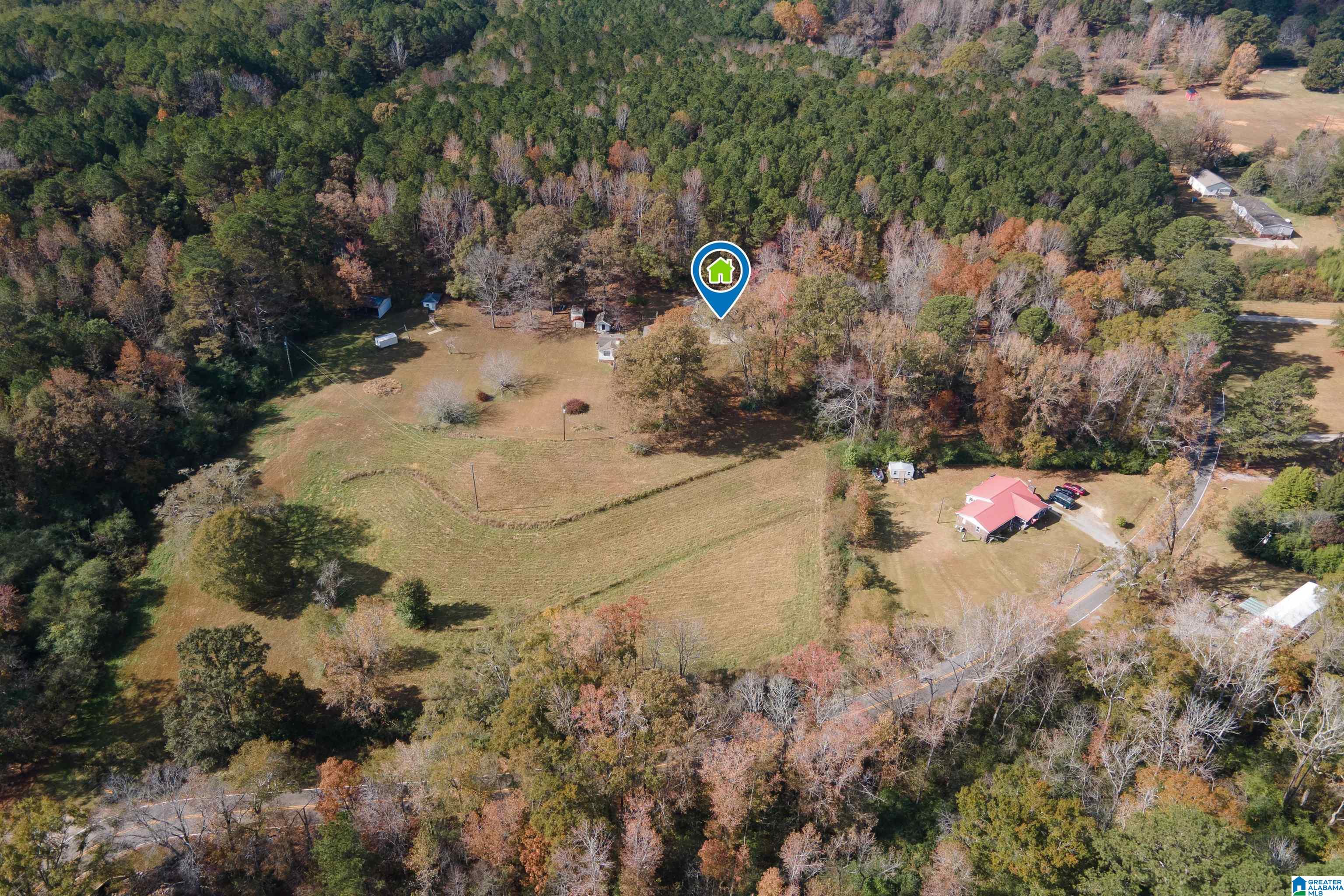 1864 Kelly Loop Road Mount Olive, AL 35117 - Photo 60 of 68