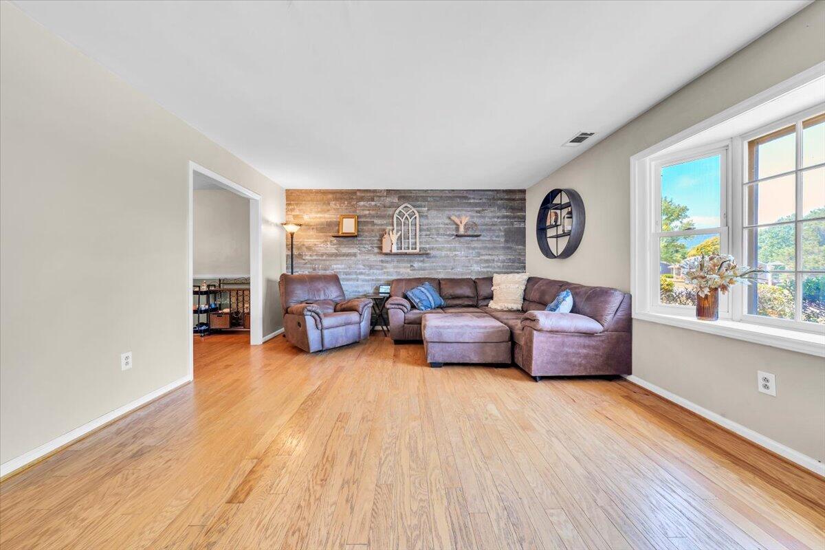 123 Apple Tree Road Roanoke, VA 24019 - Photo 3 of 37 Spacious Living Room