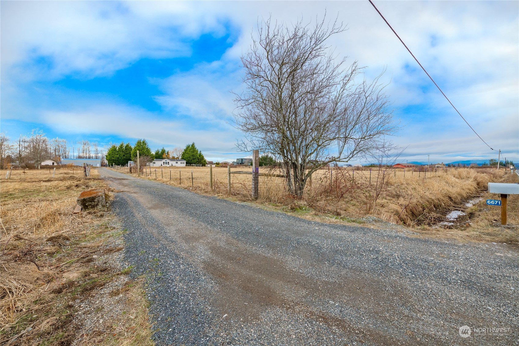 6671 Olson Road Ferndale, WA 98248 - Photo 39 of 40 a view of dirt yard with a large tree