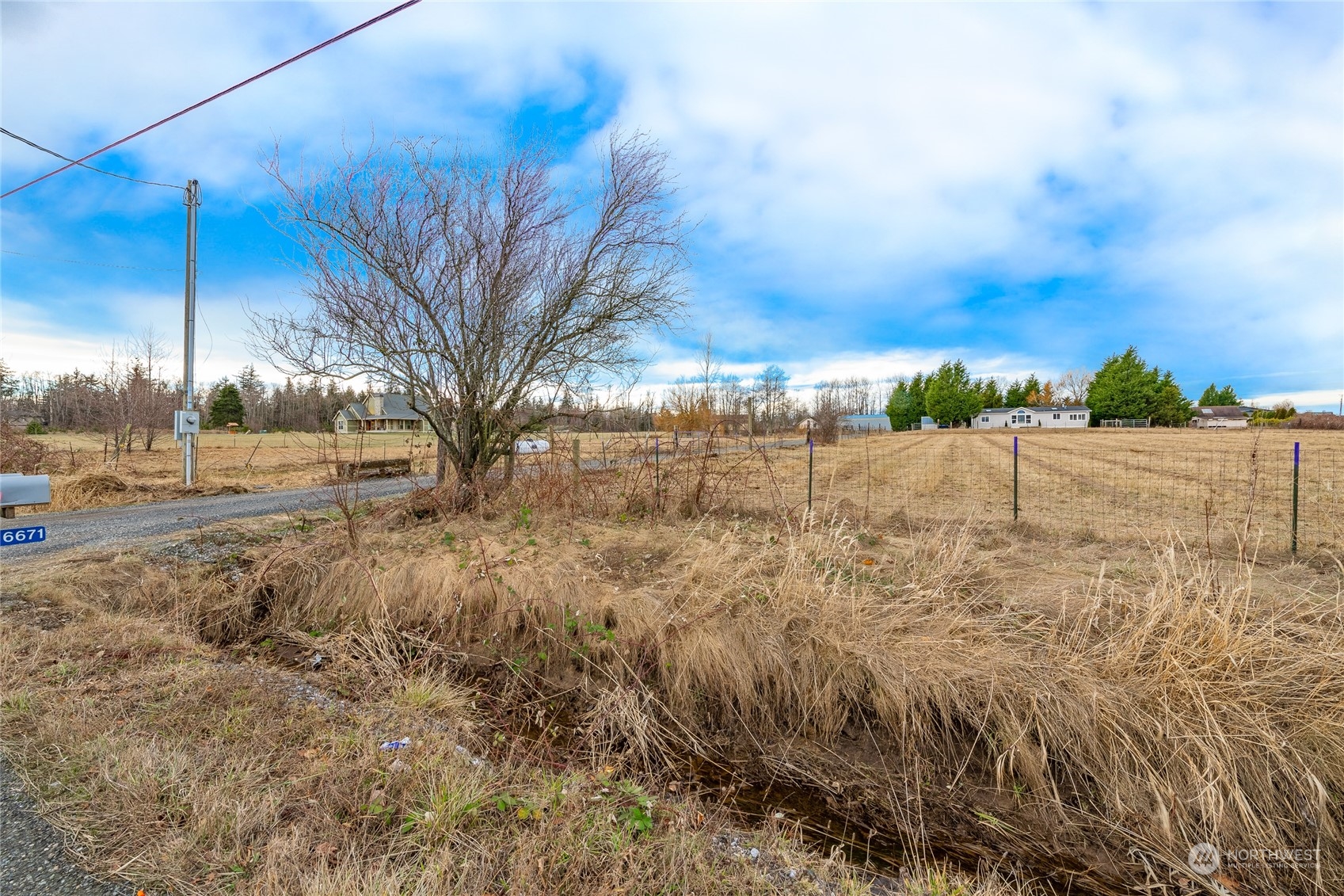 6671 Olson Road Ferndale, WA 98248 - Photo 40 of 40 a view of a yard with trees