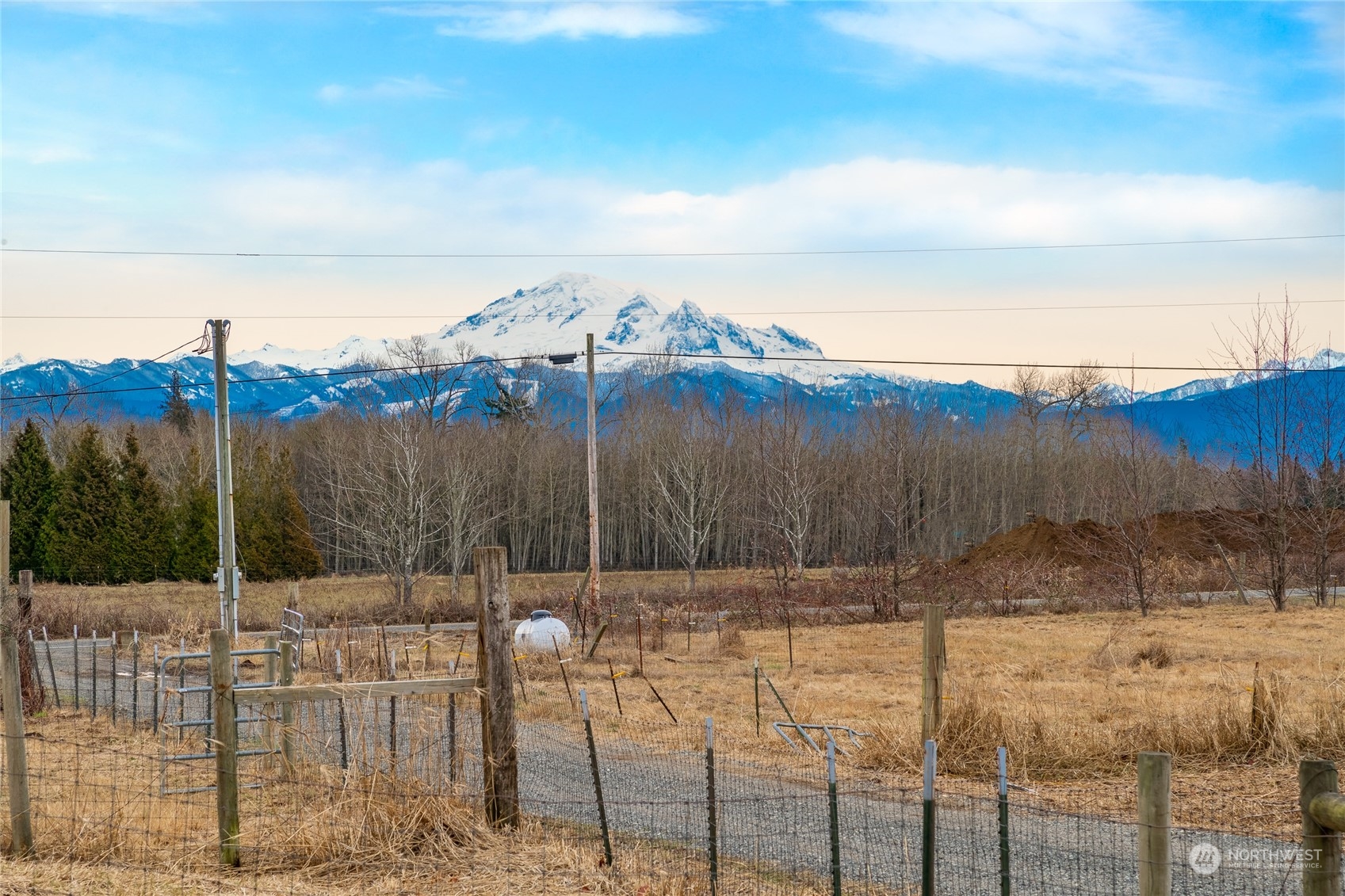 6671 Olson Road Ferndale, WA 98248 - Photo 5 of 40 a backyard of a house with lots of trees
