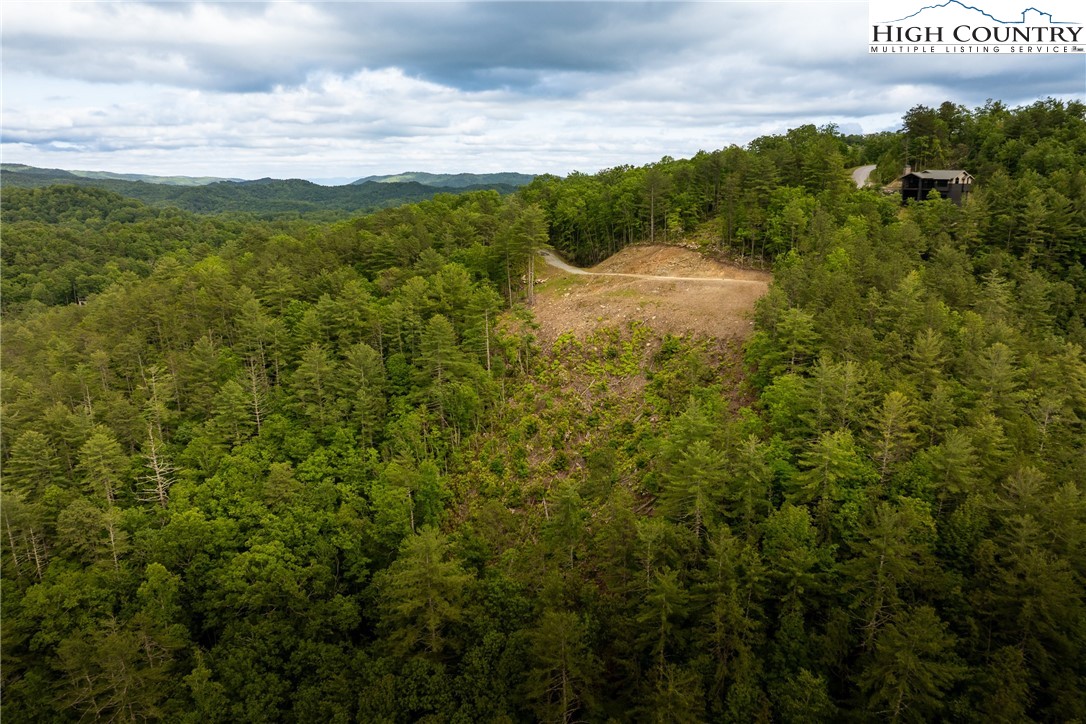 289 Ninebark Road Boone, NC 28607 - Photo 3 of 40