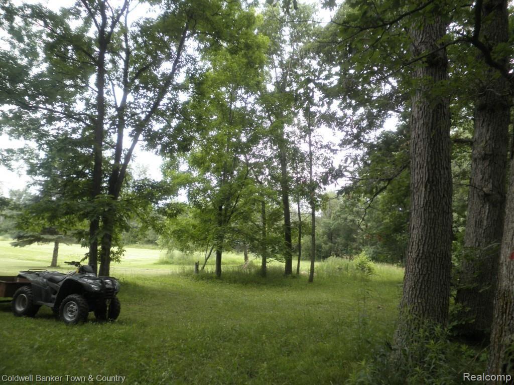 14325 Barnes Road Byron, MI 48418 - Photo 10 of 22 Lovely.jpg