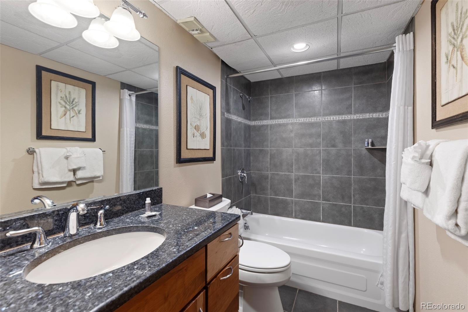 631 Village Road, Unit 442 Breckenridge, CO 80424 - Photo 24 of 40