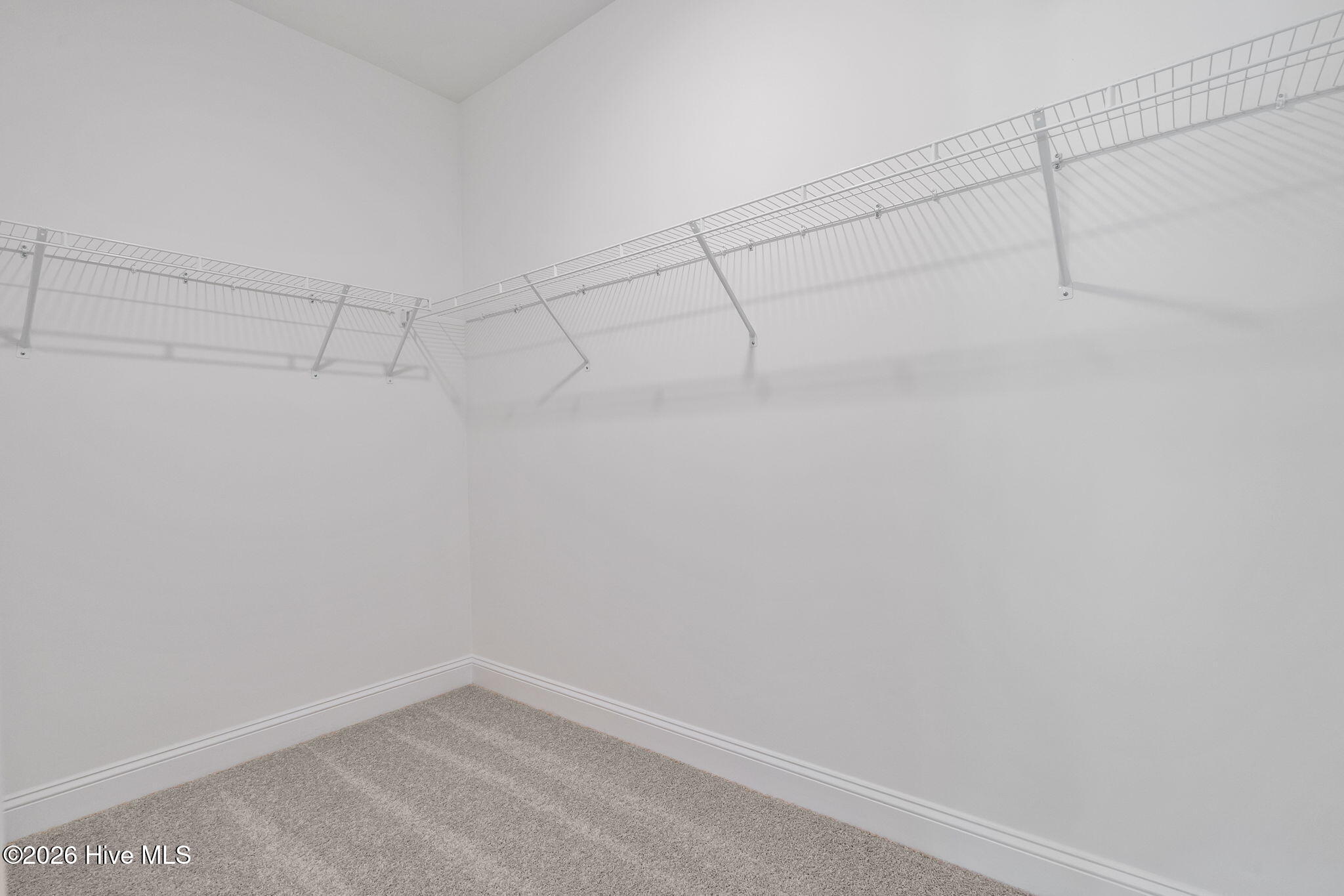 394 Lakebay Road Vass, NC 28394 - Photo 29 of 50 Primary Closet