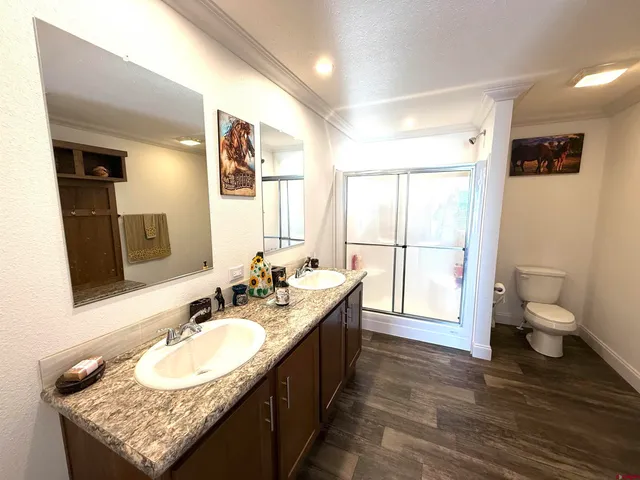 a bathroom with a granite countertop sink and a large mirror