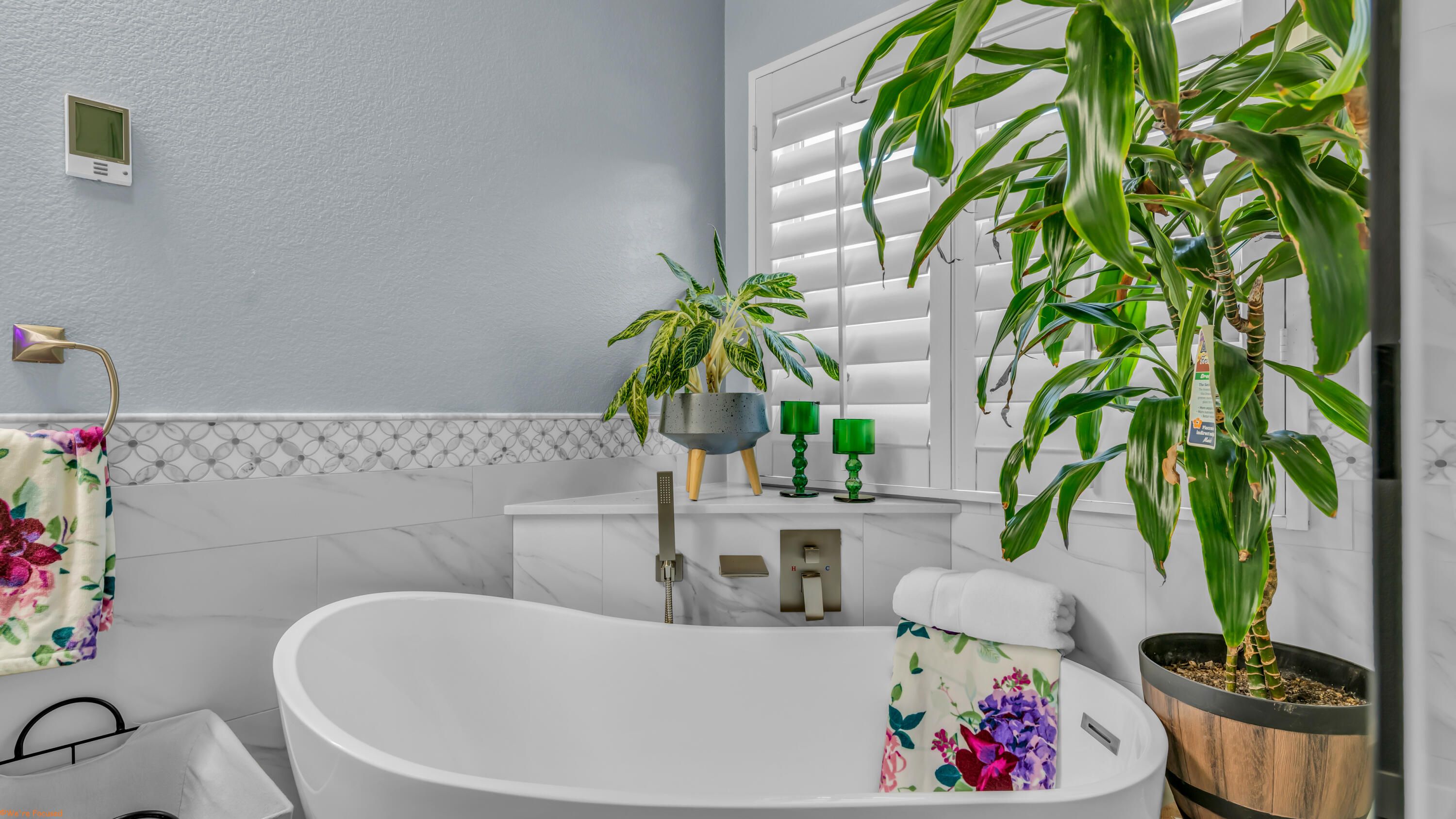 41126 Prospect Court Indio, CA 92203 - Photo 31 of 69 a white bath tub with a potted plant