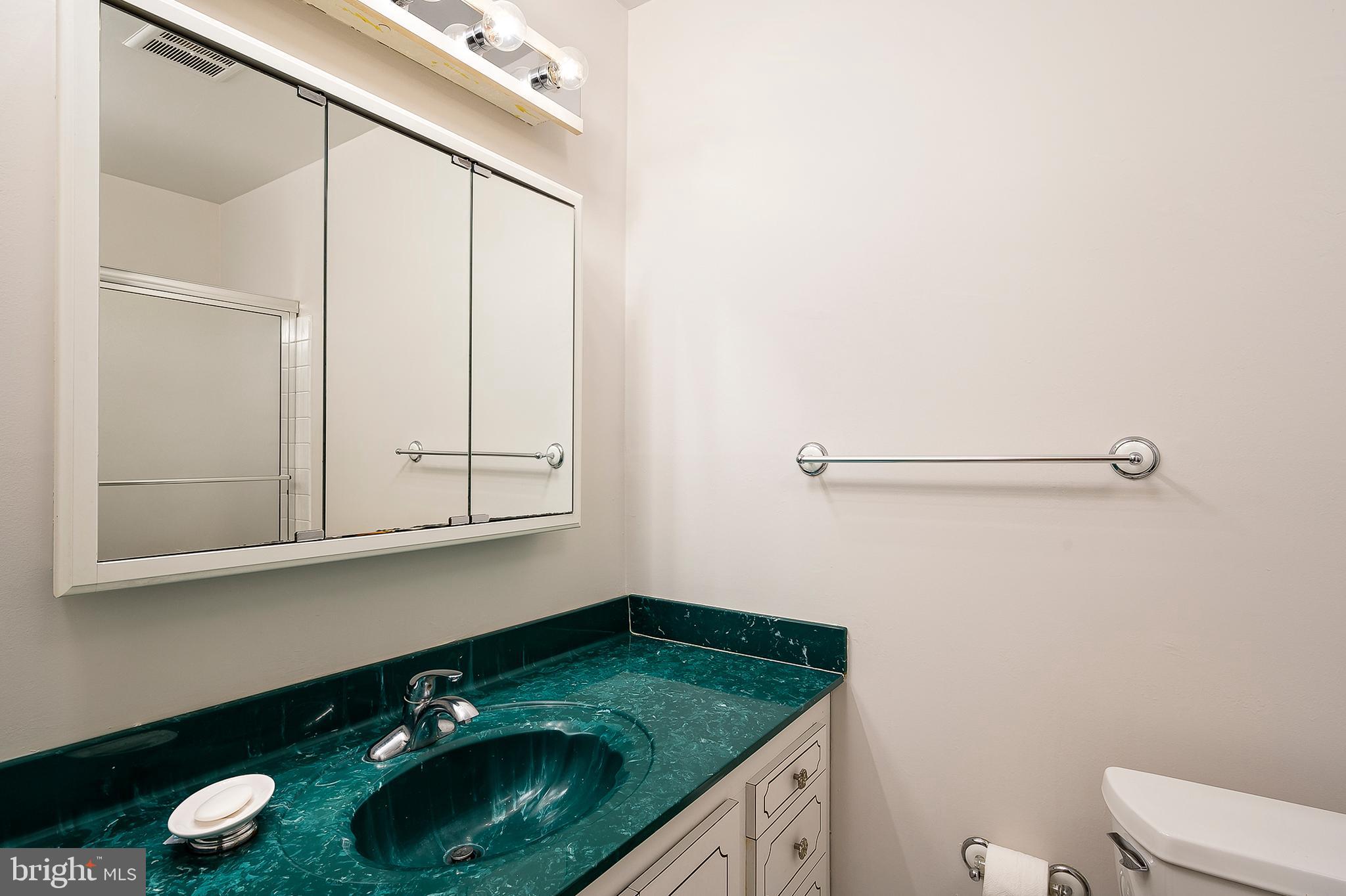 898 Snow Ridge Circle Gambrills, MD 21054 - Photo 18 of 25 Bathroom 2