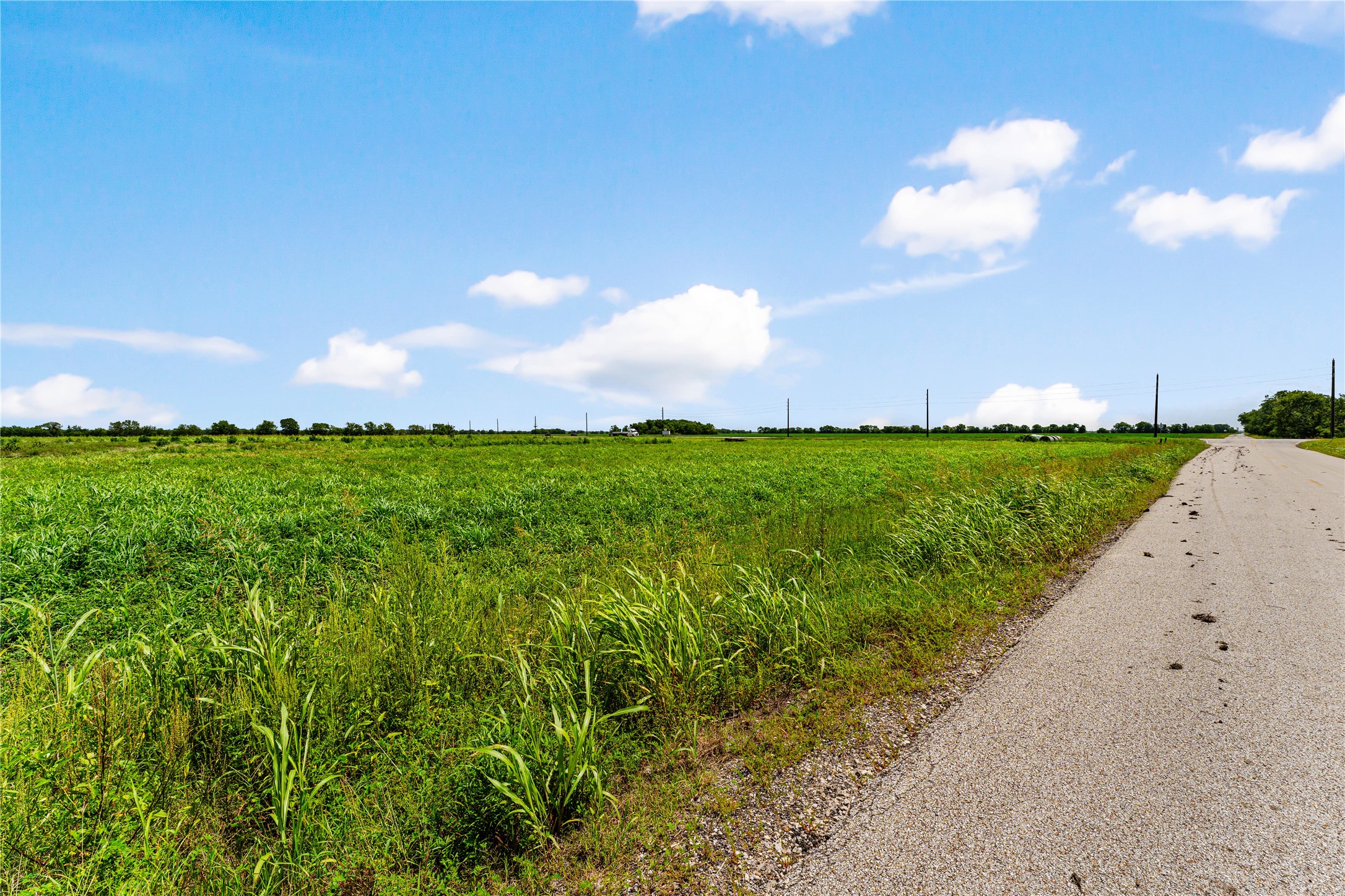 0 Spur 10 / Highway Rosenberg, TX 77471 - Photo 17 of 19 a view of a big yard with plants and a large tree