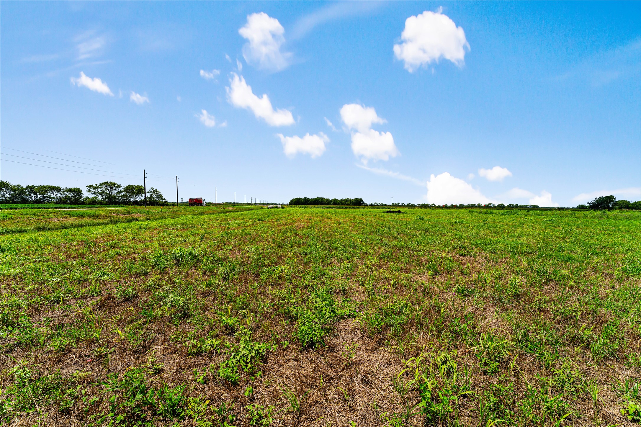 0 Spur 10 / Highway Rosenberg, TX 77471 - Photo 19 of 19 a view of a golf course with a lake