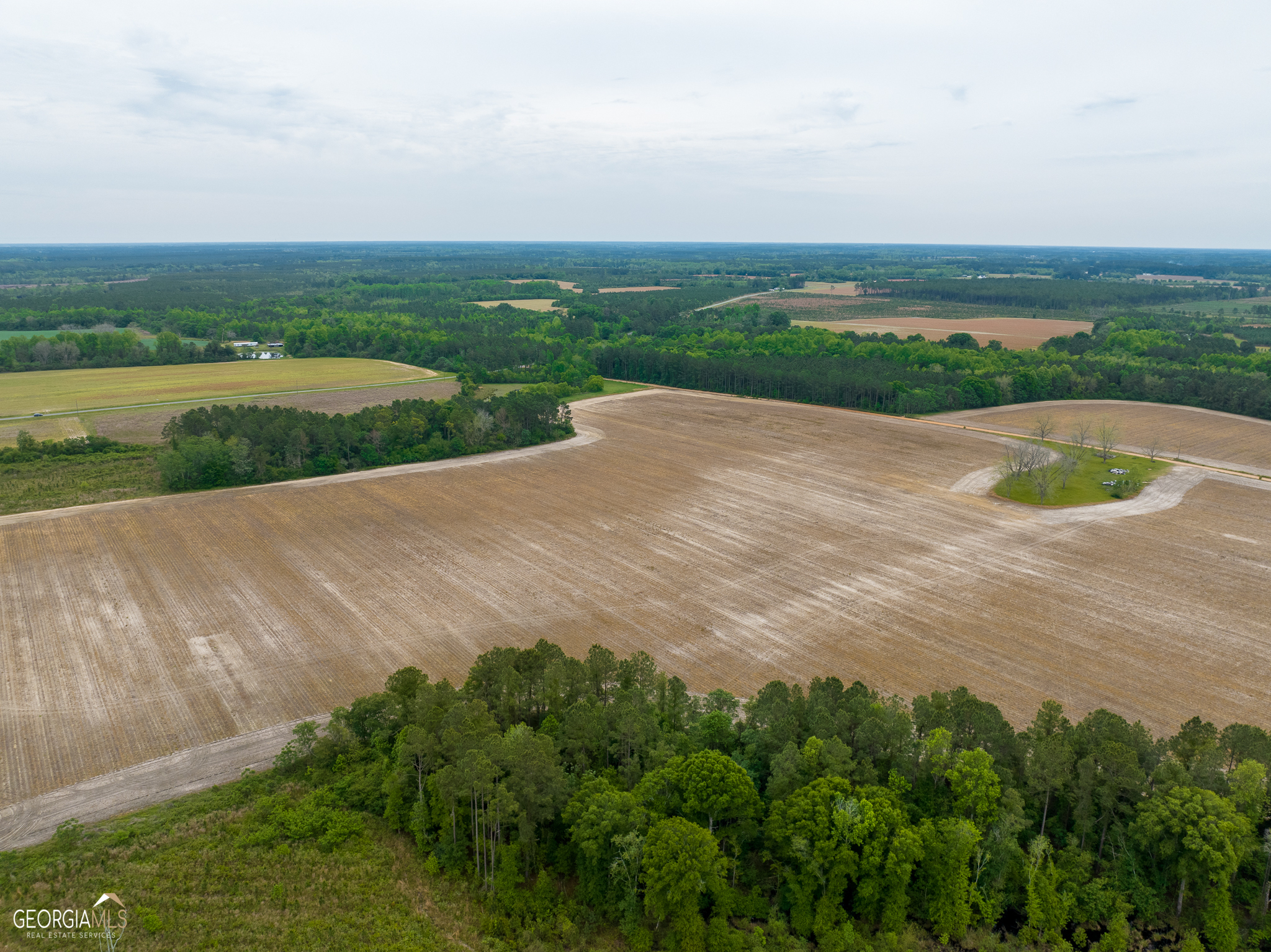 0 Old Dixie School Road Nicholls, GA 31554 - Photo 1 of 1
