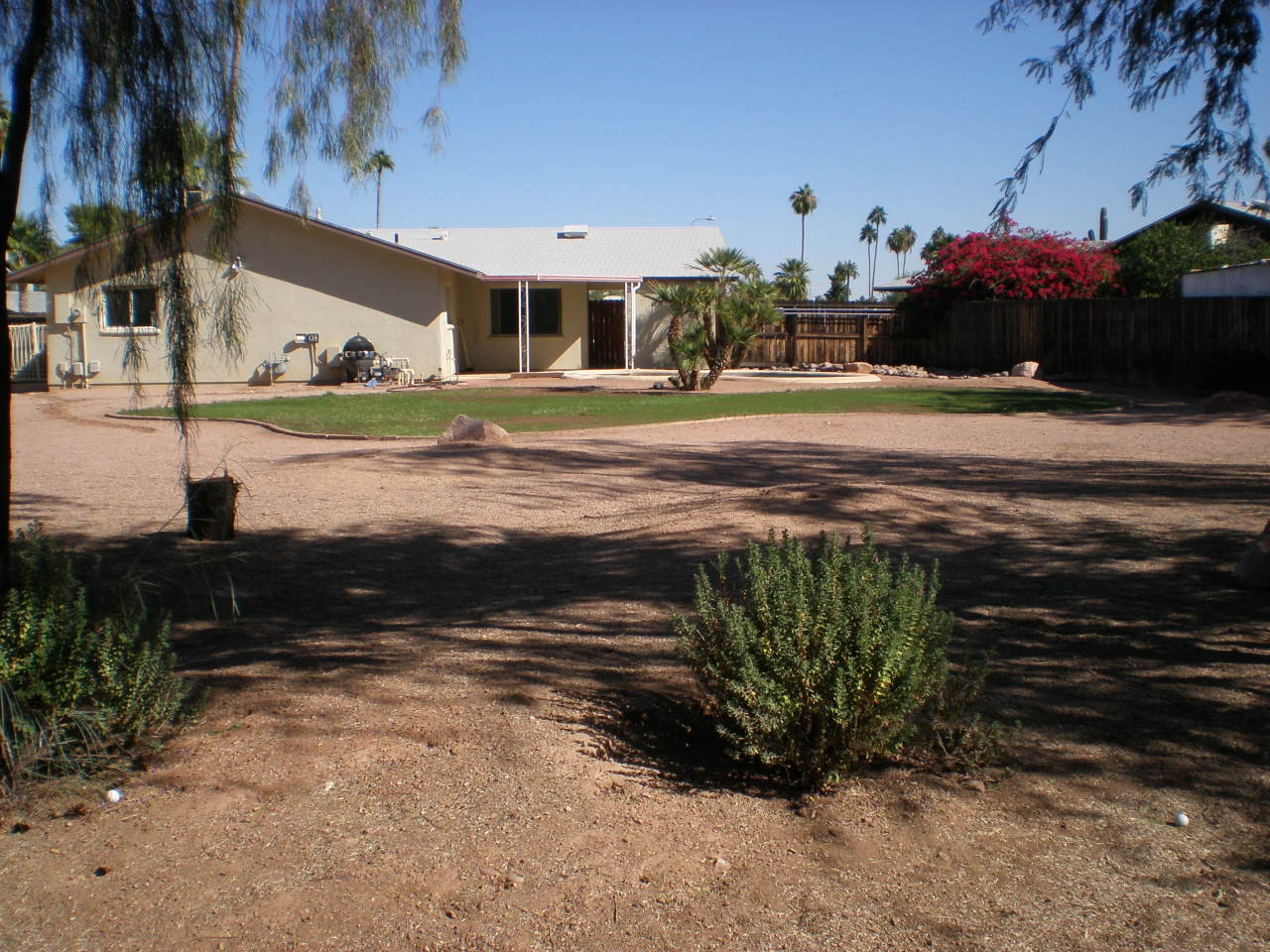 4536 South Terrace Road Tempe, AZ 85282 - Photo 12 of 15 back yard looking toward house