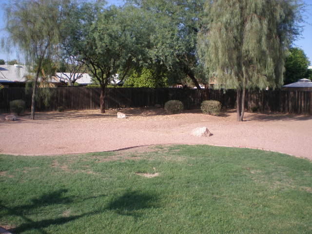 4536 South Terrace Road Tempe, AZ 85282 - Photo 15 of 15 back yard