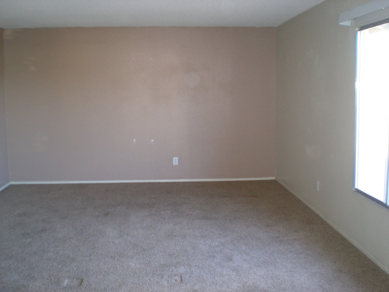 4536 South Terrace Road Tempe, AZ 85282 - Photo 8 of 15 living room