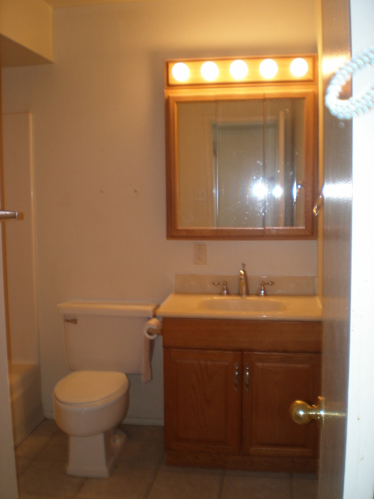 4536 South Terrace Road Tempe, AZ 85282 - Photo 9 of 15 main bathroom