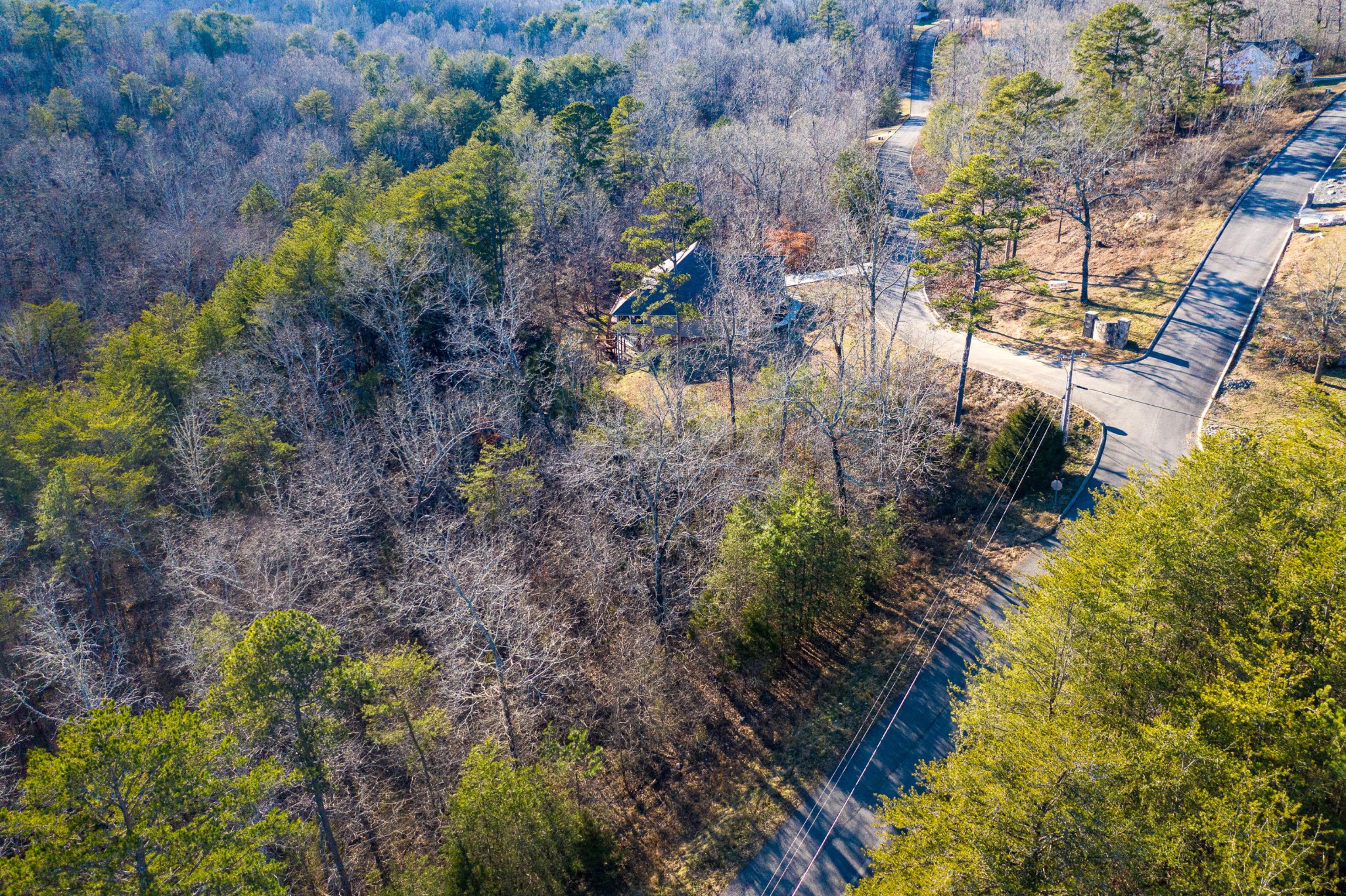 9 Hidden Ridge Loop Dunlap, TN 37327 - Photo 3 of 12 Gallery Image 3
