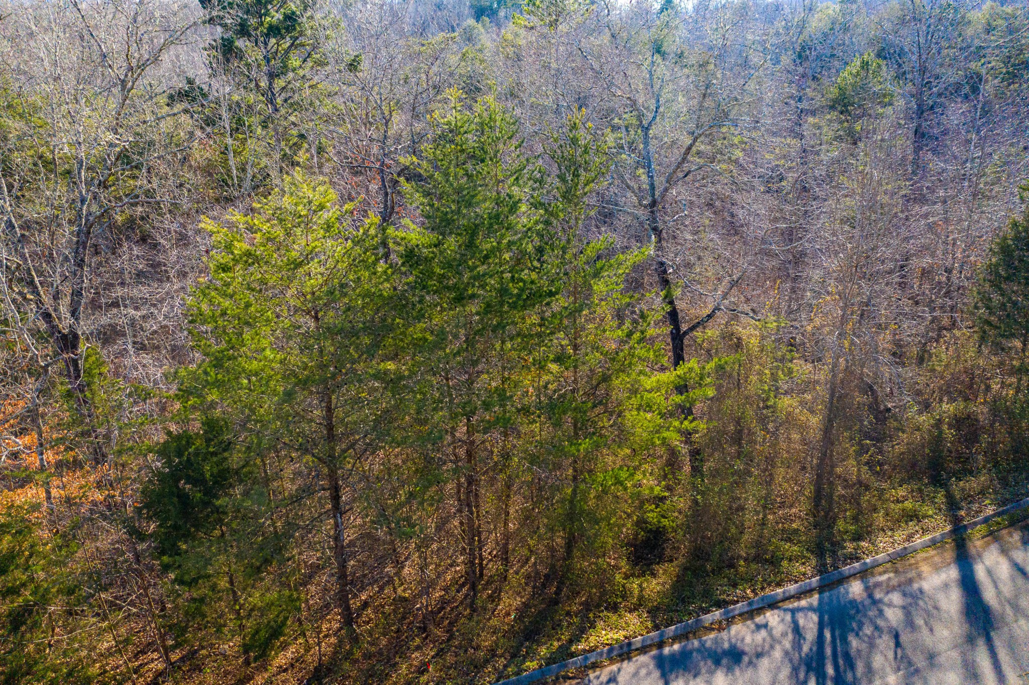 9 Hidden Ridge Loop Dunlap, TN 37327 - Photo 4 of 12 Gallery Image 4