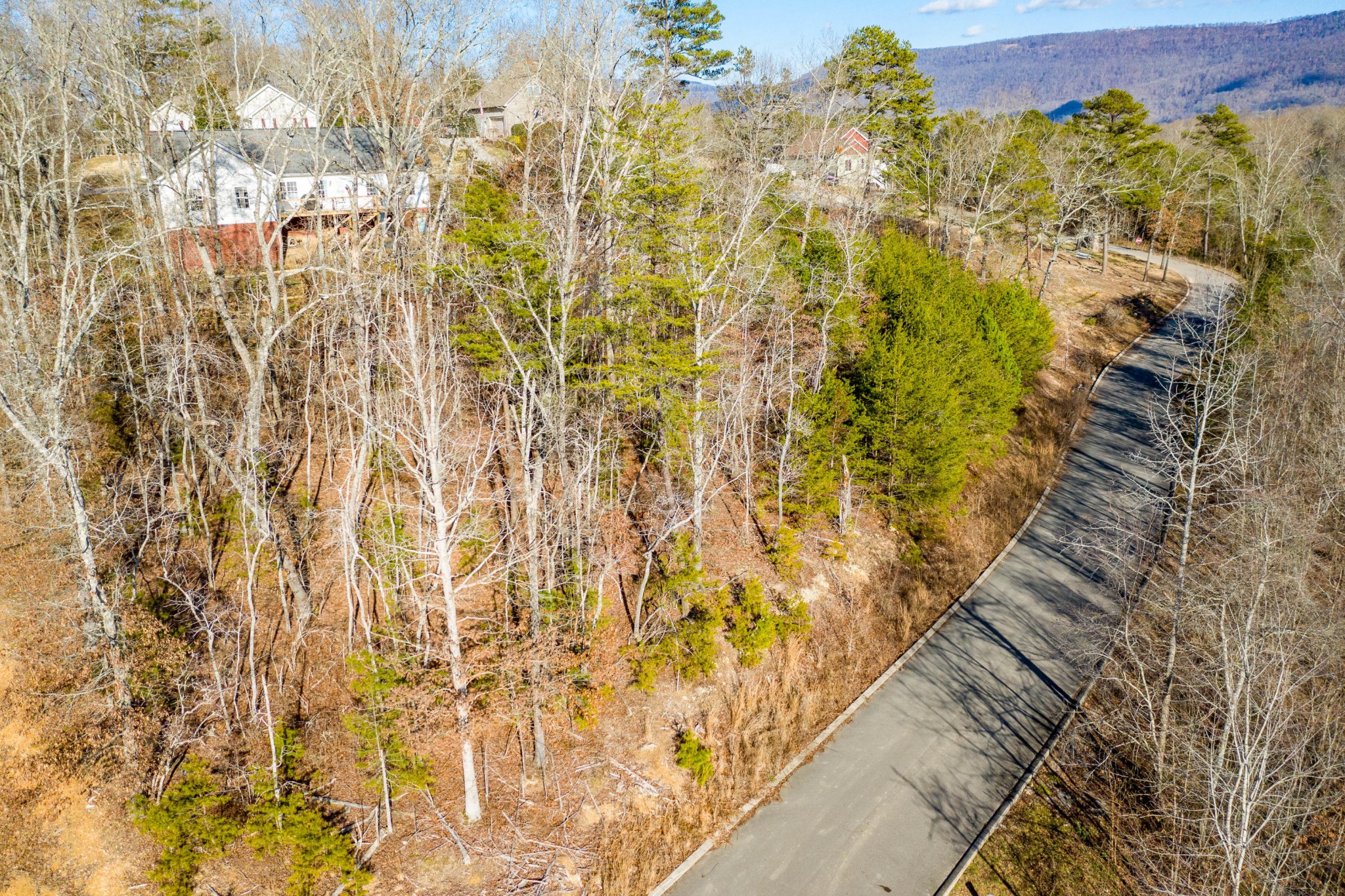 9 Hidden Ridge Loop Dunlap, TN 37327 - Photo 8 of 12 Gallery Image 8